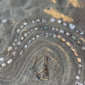 Meet your Posher, Carly